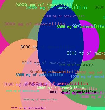 3000 mg of amoxicillin
